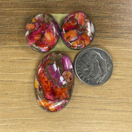 Starburst Spiny Oyster Set