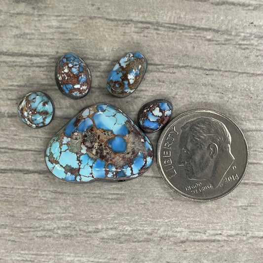 Golden Hill Paw