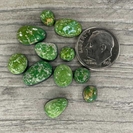 Emerald Valley Minis