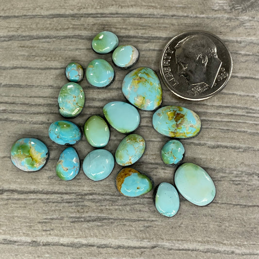 Sierra Bella Minis