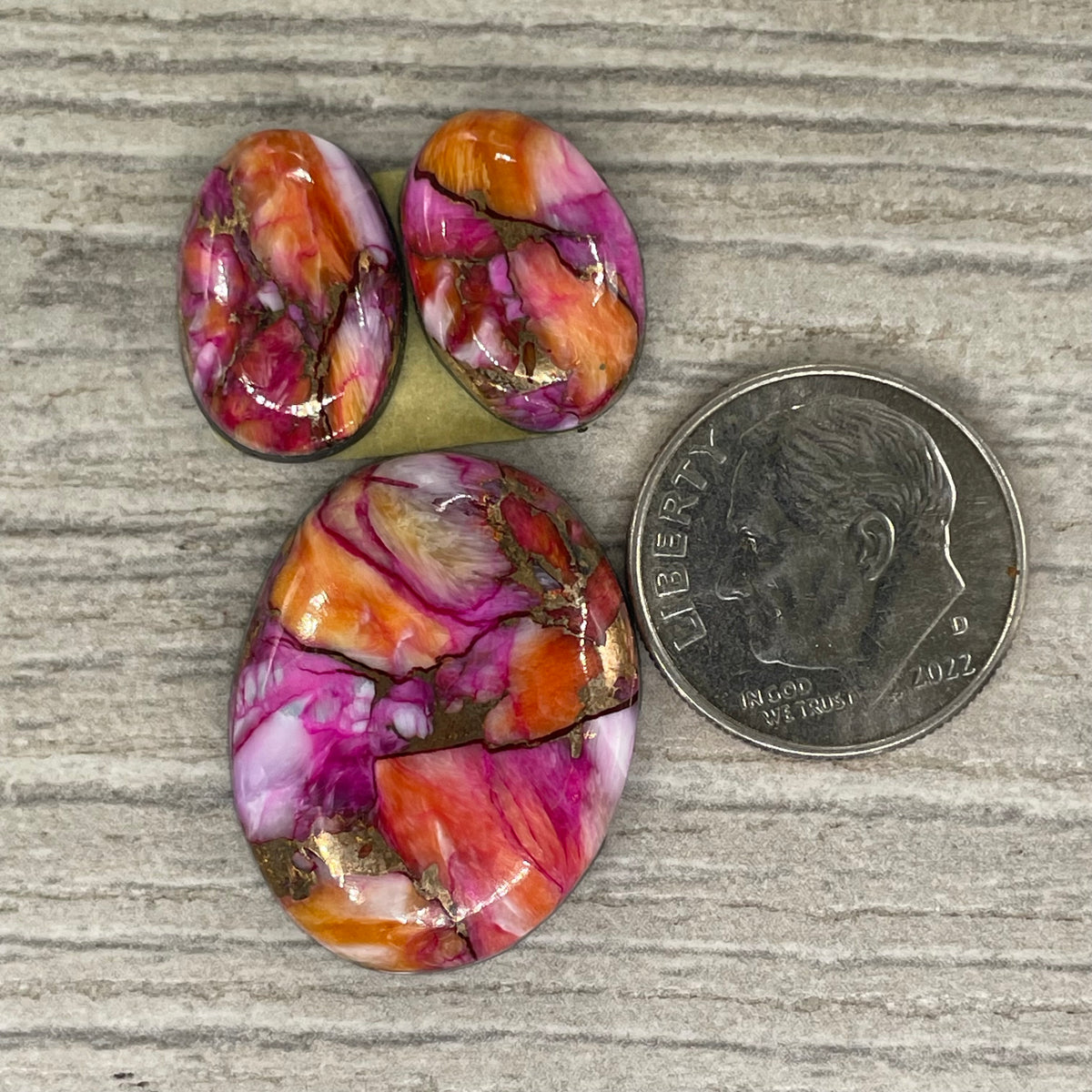 Starburst Spiny Oyster