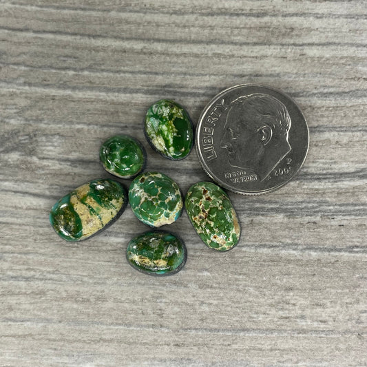 Sonoran Mountain Minis