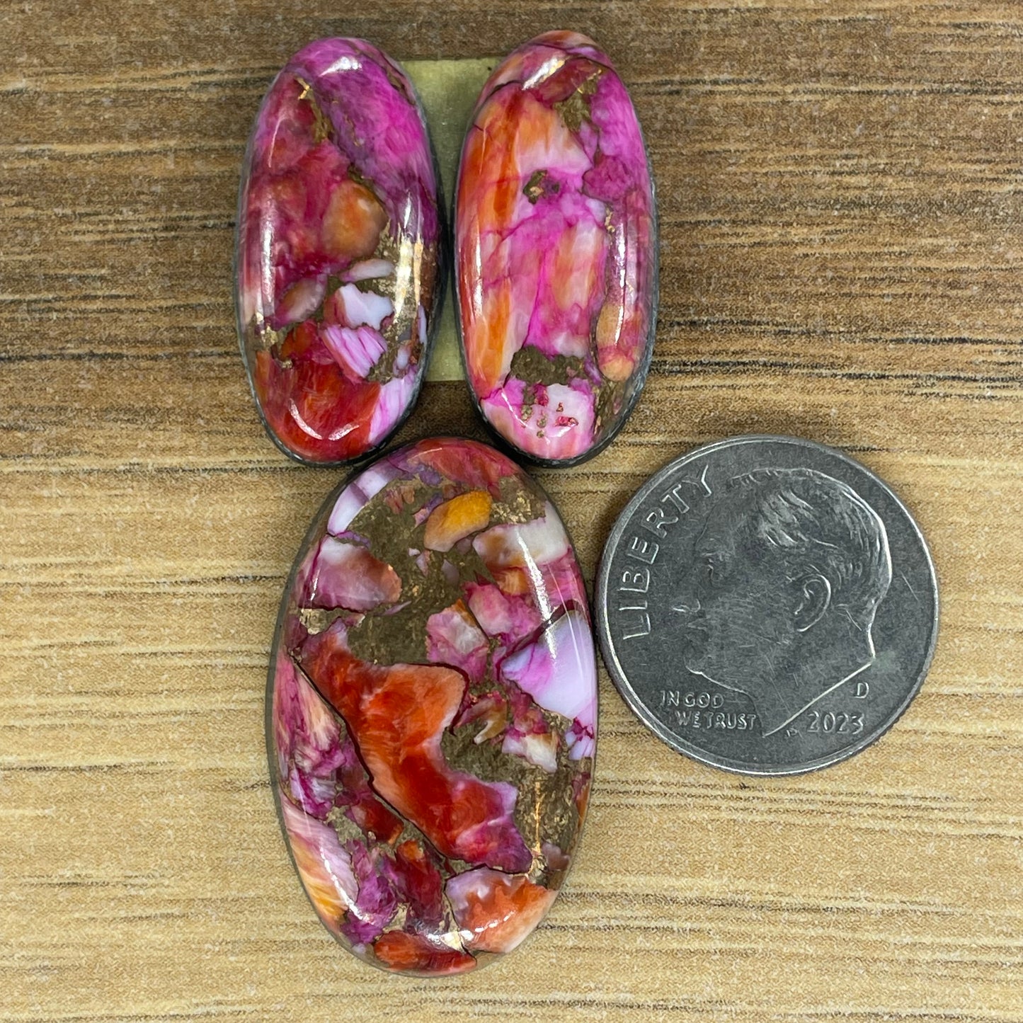 Starburst Spiny Oyster