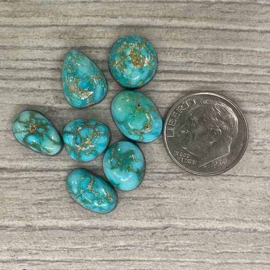 Verde Valley Minis