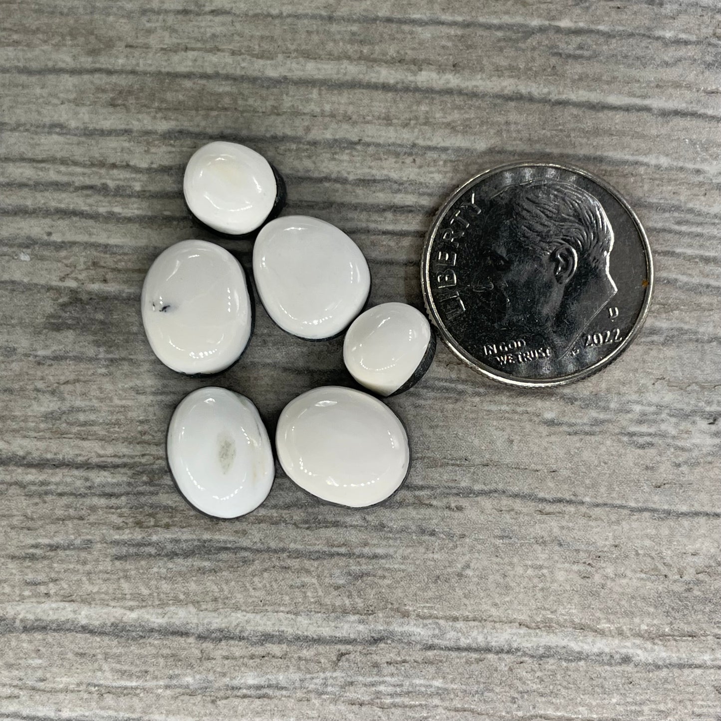 White Buffalo Minis