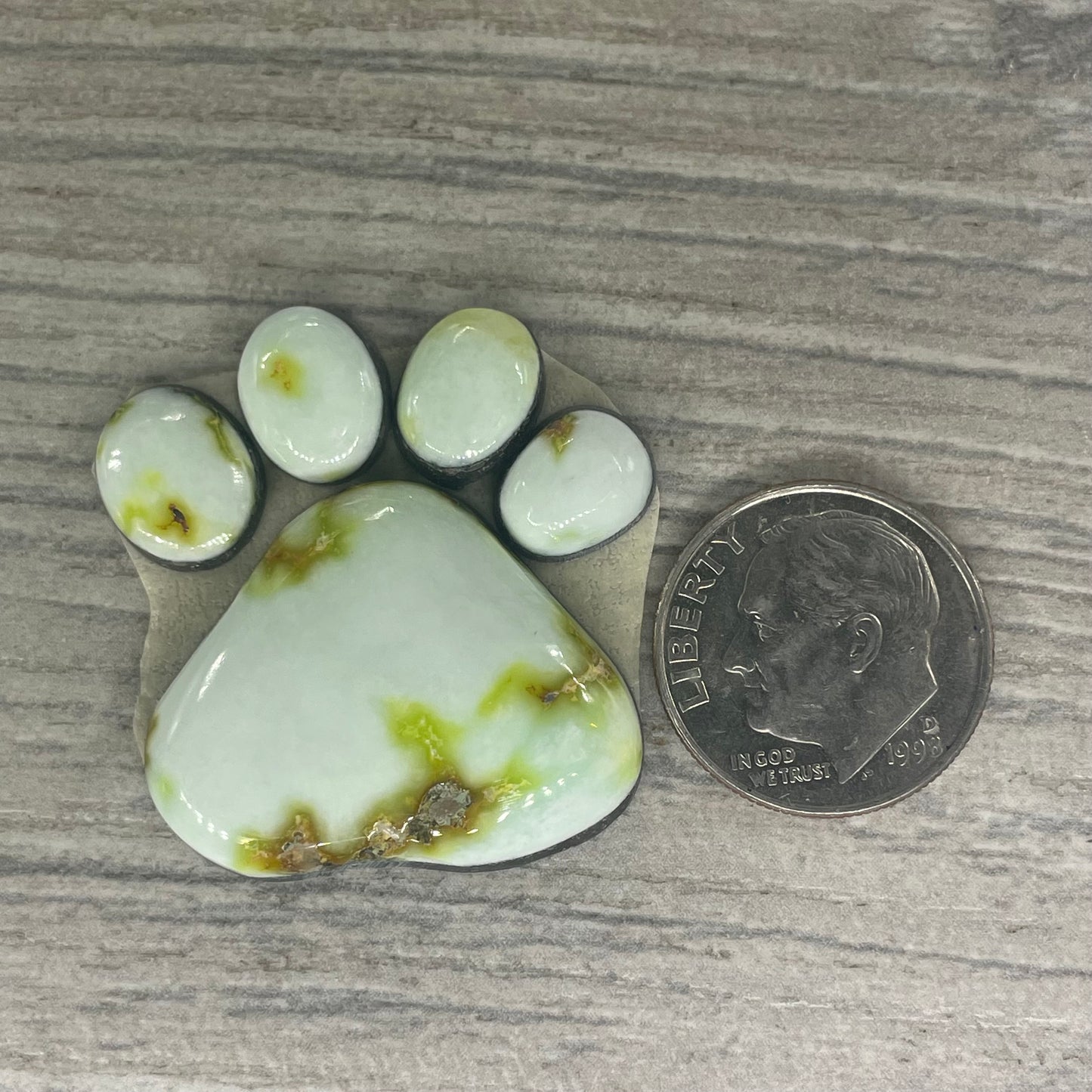 Palomino Paw
