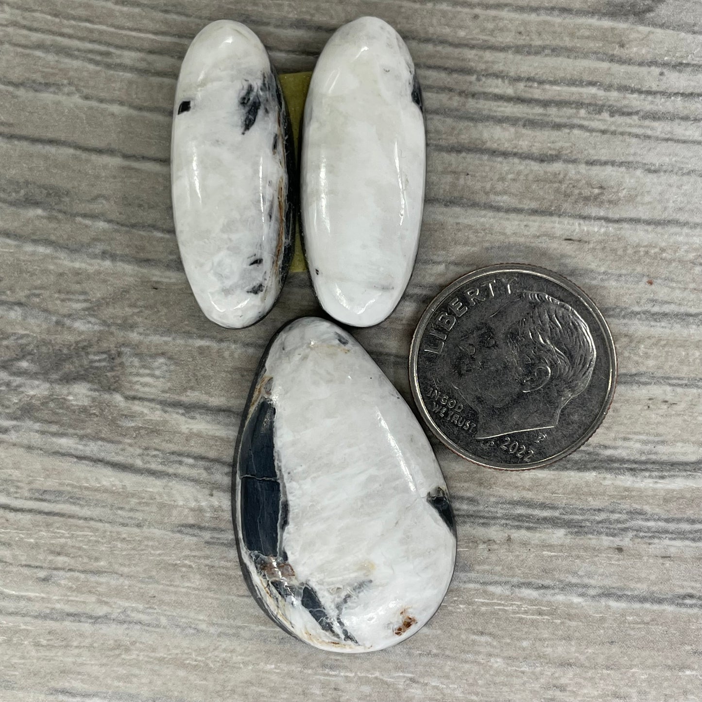 White Buffalo Set