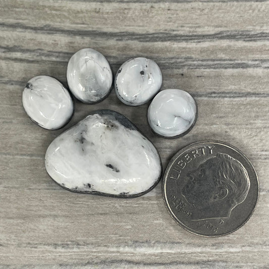 White Buffalo Paw