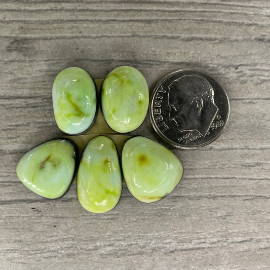 Palomino Set