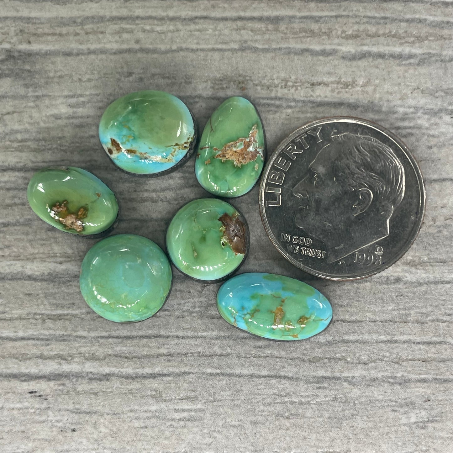 Sonoran Mountain Minis