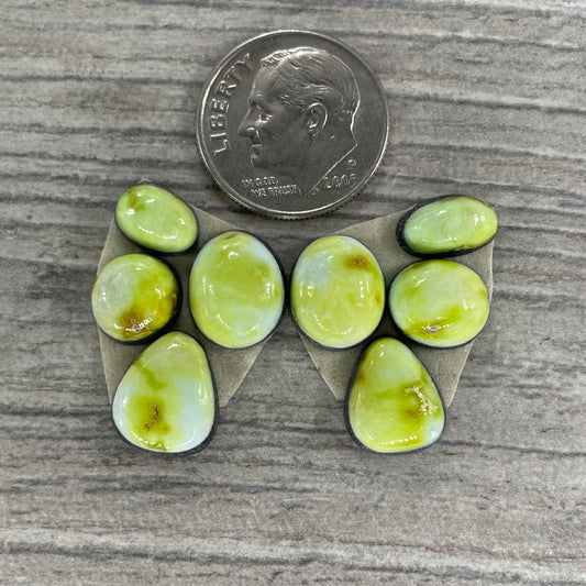 Palomino Earring Set