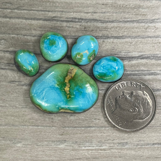 Sierra Bella Paw