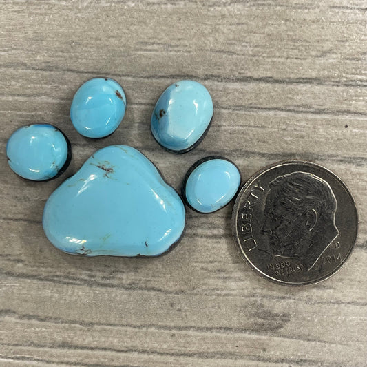 Golden Hill Paw Set