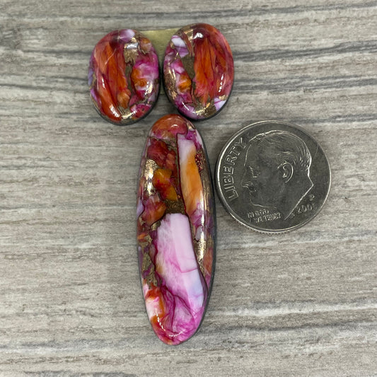 Starburst Spiny Oyster