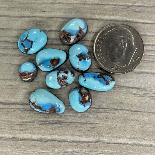 Golden Hill Minis