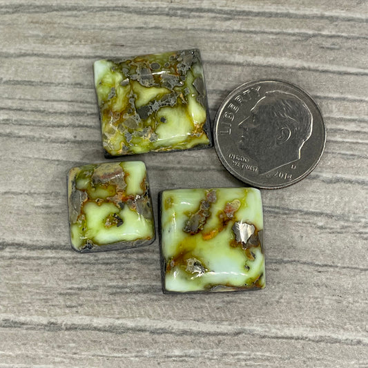 Palomino Squares