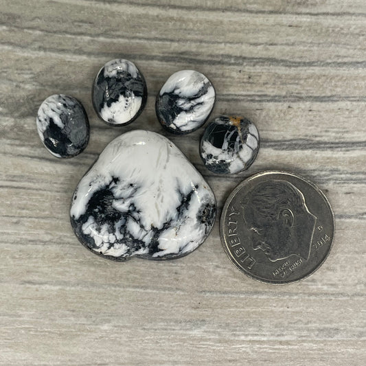 White Buffalo Paw