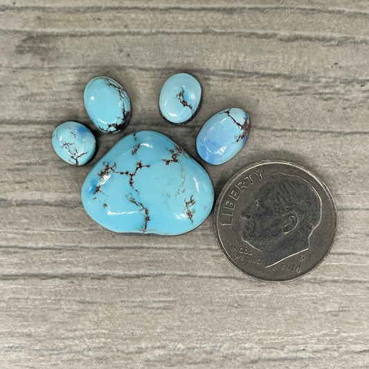 Golden Hill Paw