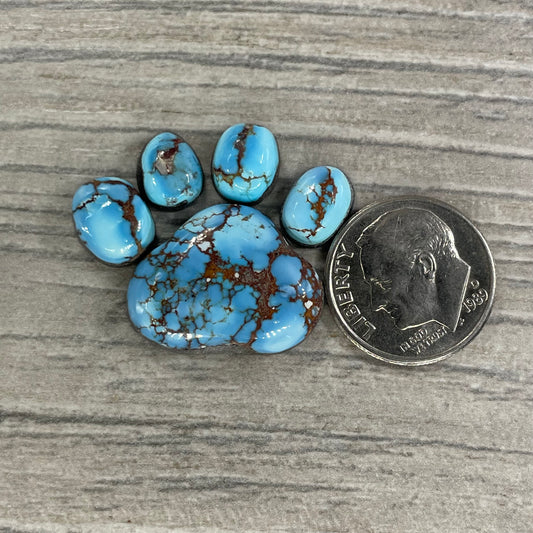 Golden Hill Paw