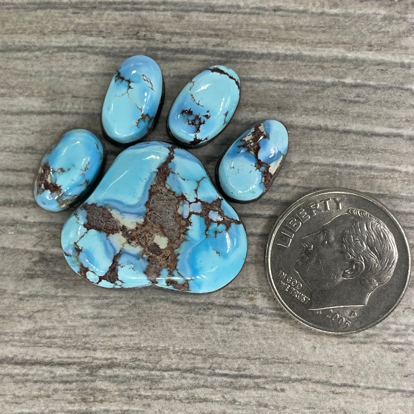 Golden Hill Paw