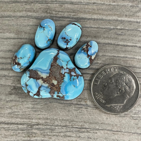 Golden Hill Paw