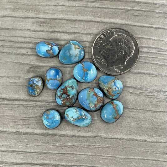 Golden Hill Minis