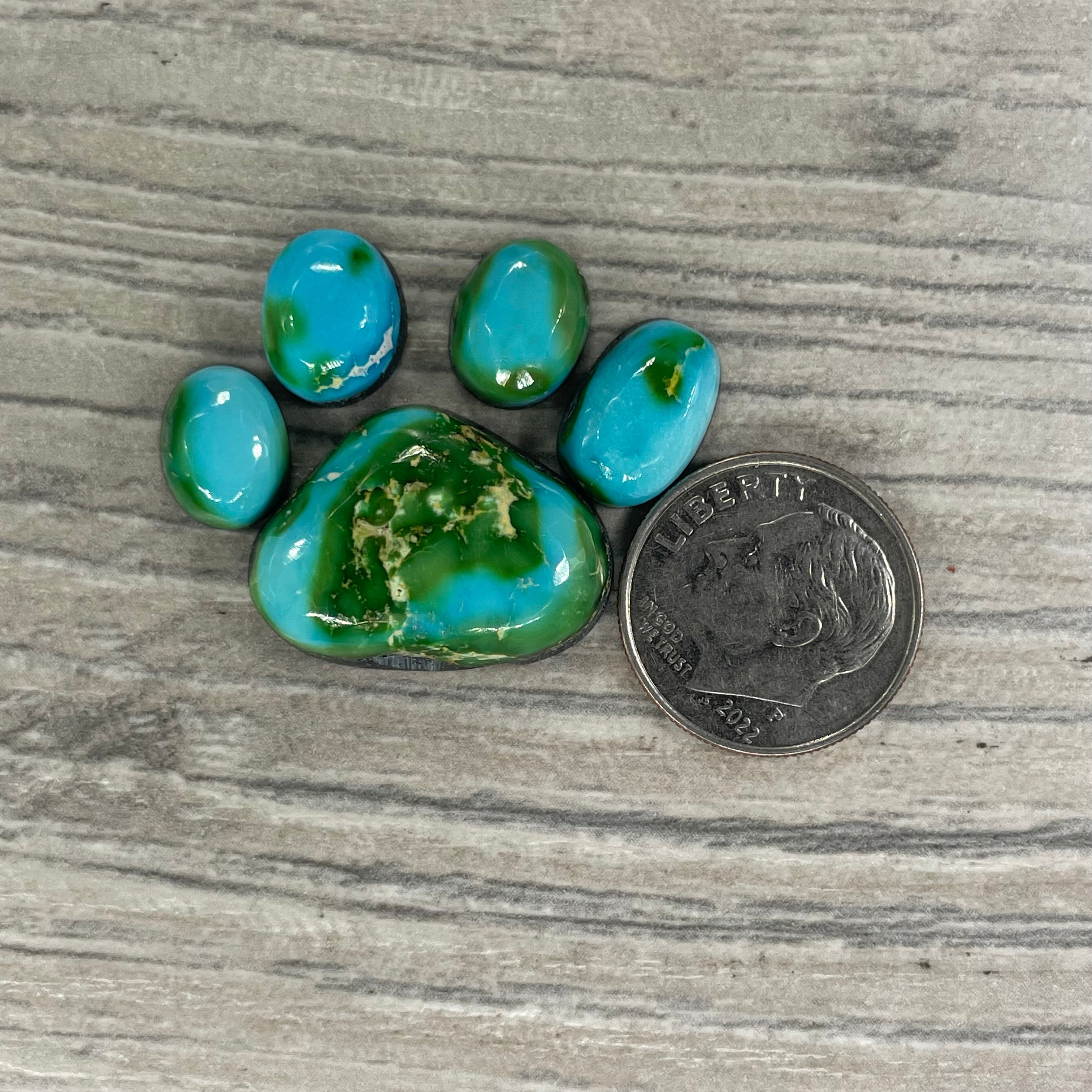 Sonoran Mountain Paw – Peterson Turquoise