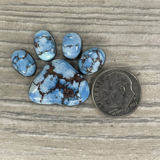 Golden Hill Paw
