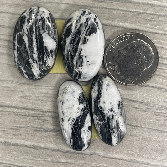 White Buffalo Earring Pairs