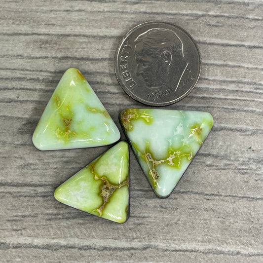 Palomino Triangles