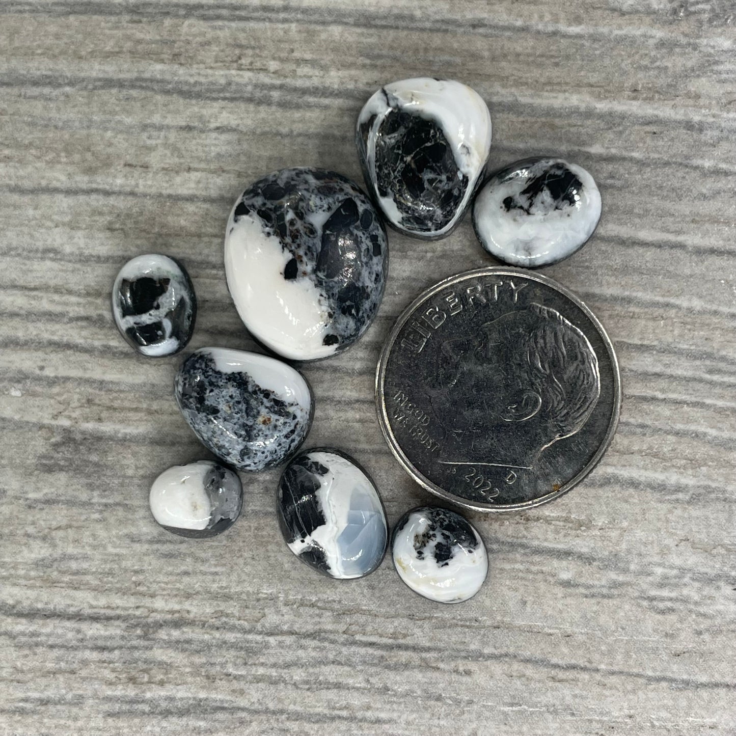 White Buffalo Minis
