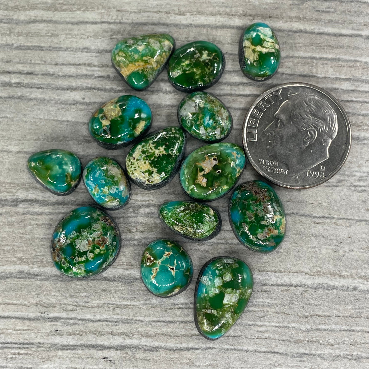 Sonoran Mountain Minis