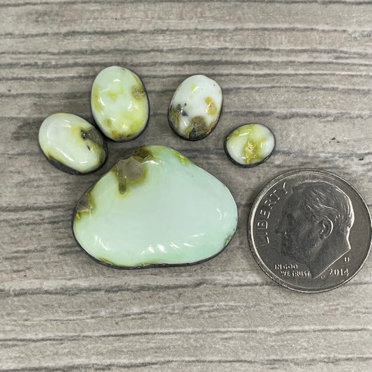 Palomino Paw Set