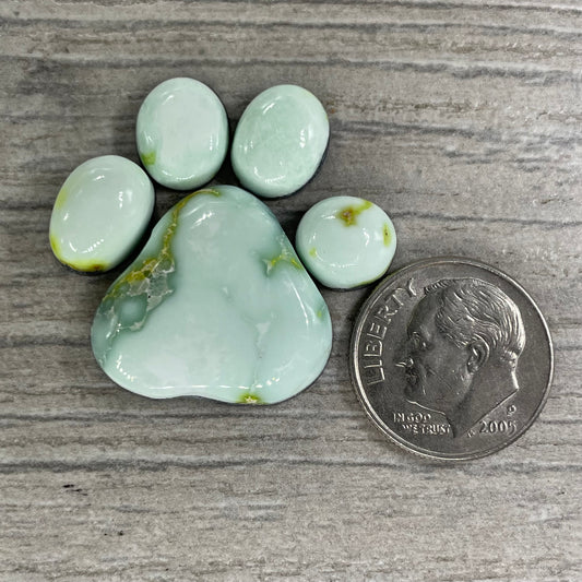 Palomino Paw Set