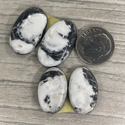 White Buffalo Earring Pairs