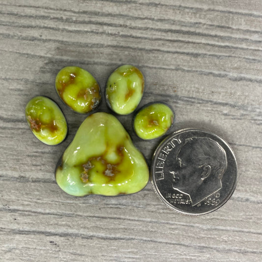 Palomino Paw