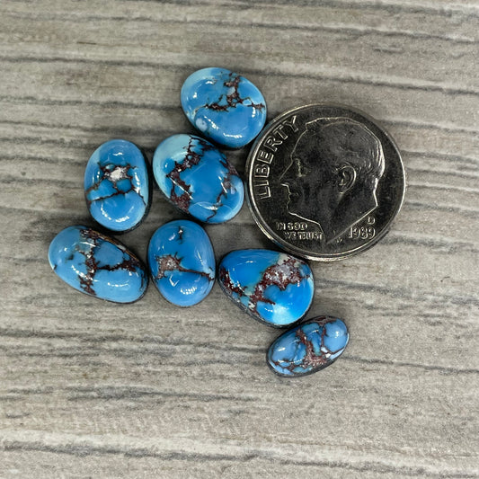 Golden Hill Minis