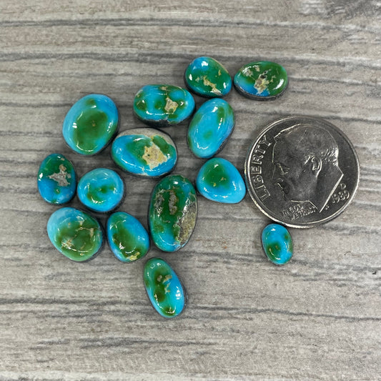 Sierra Bella Minis