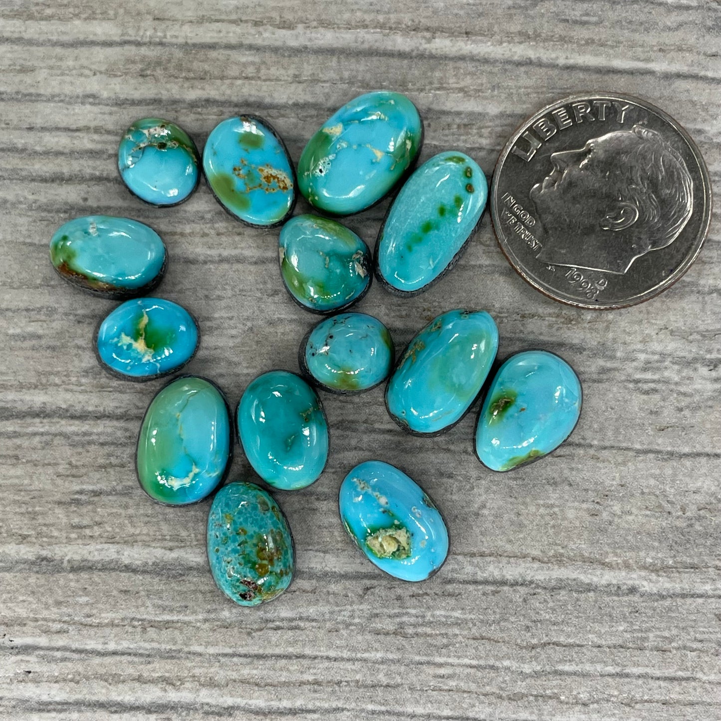 Sonoran Mountain Minis