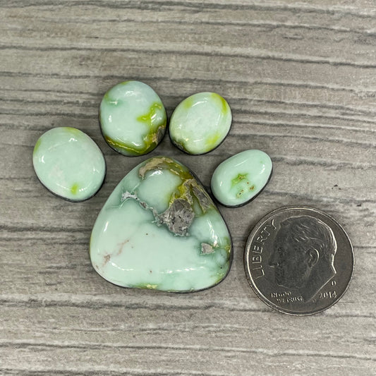 Palomino Paw Set