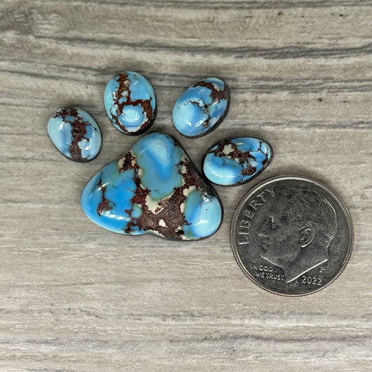Golden Hill Paw