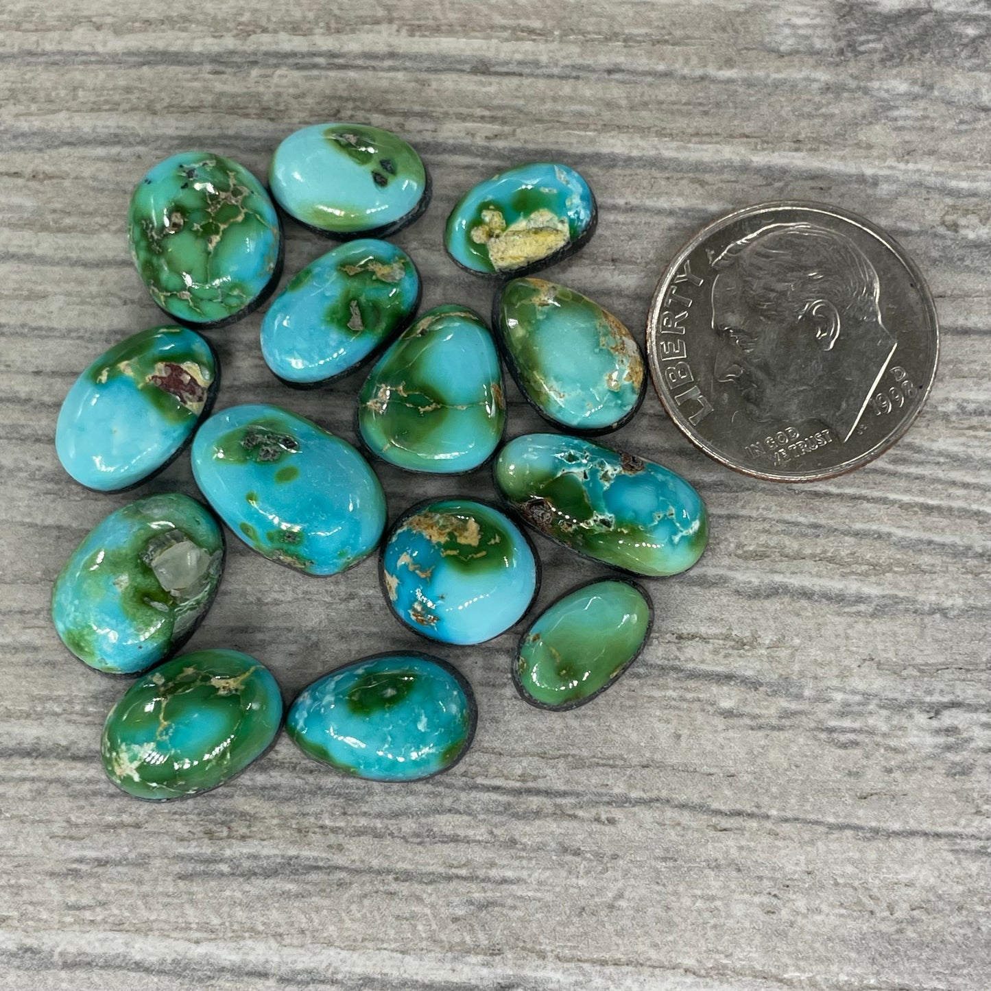 Sonoran Mountain Minis