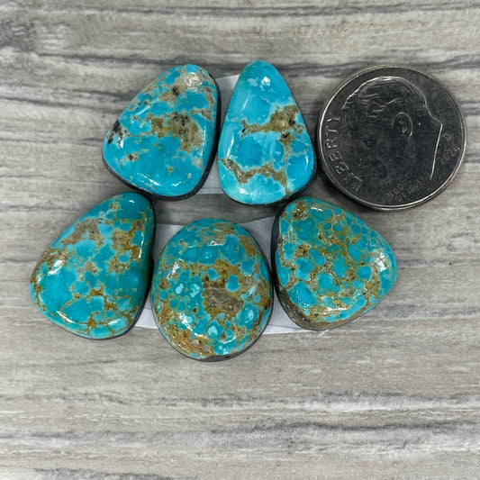 Sonoran Set