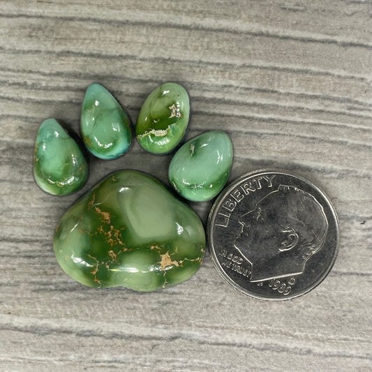 Emerald Valley Paw