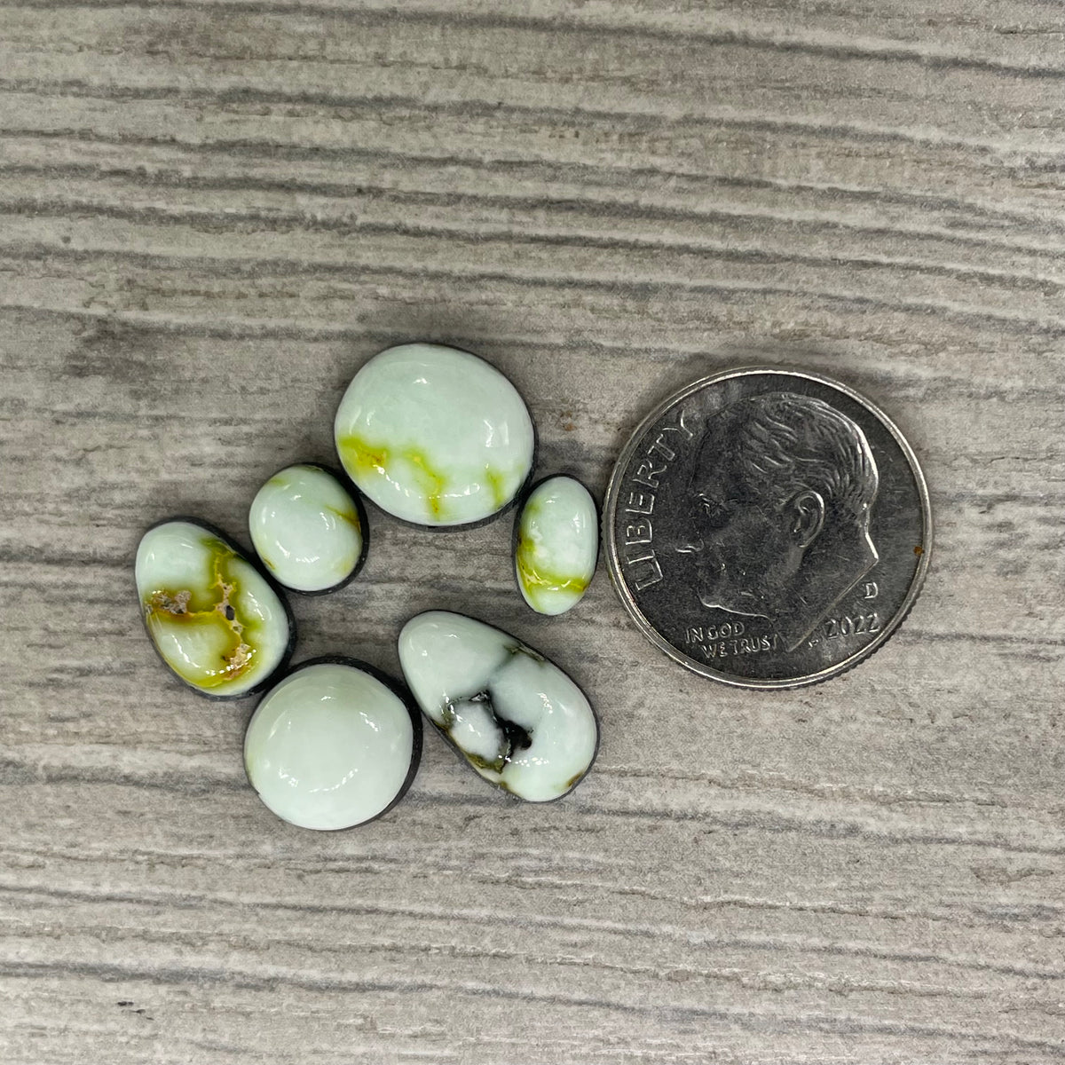 Palomino Minis