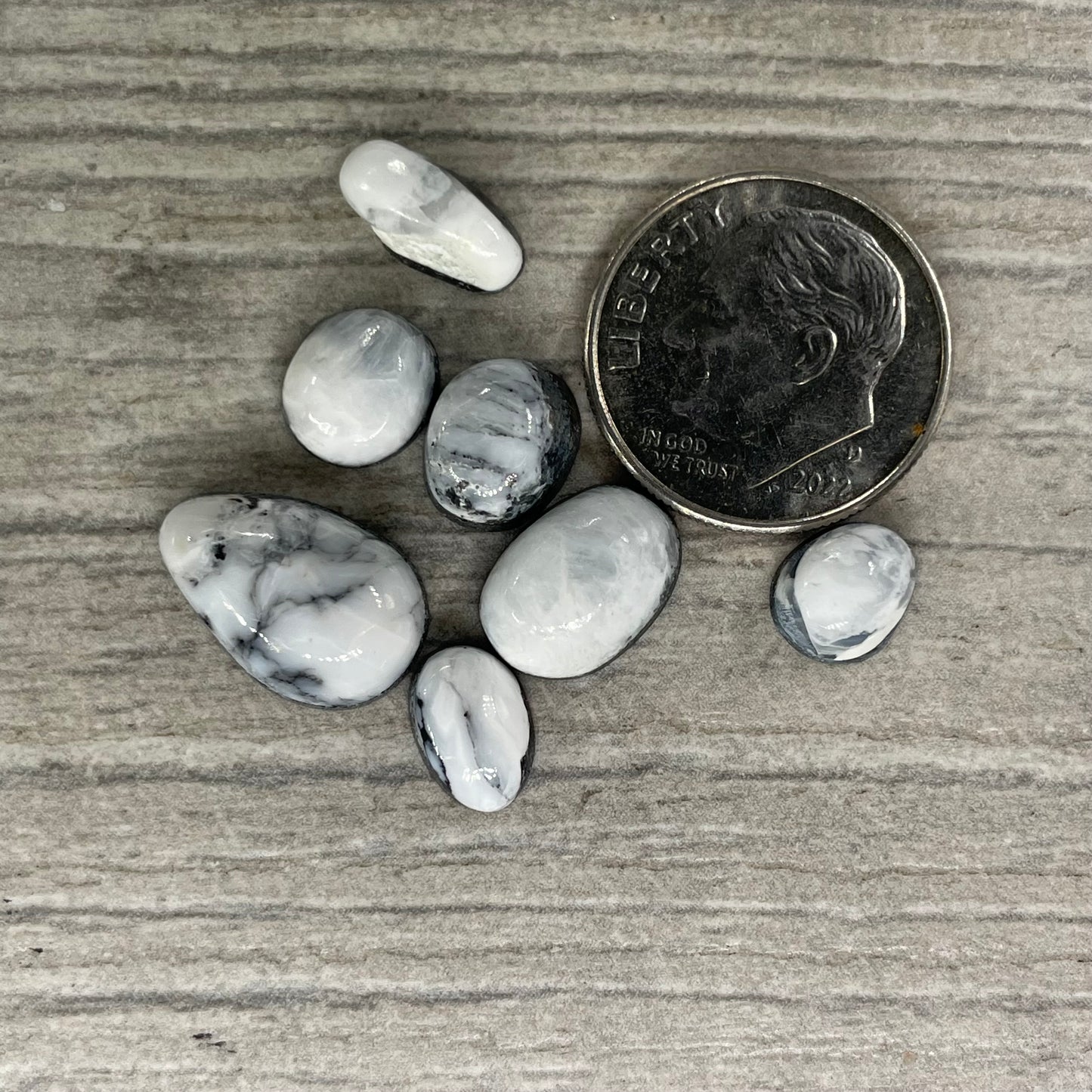 White Buffalo Minis