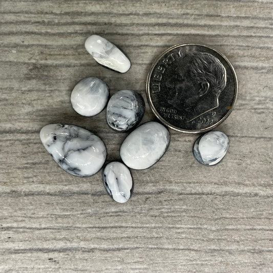 White Buffalo Minis