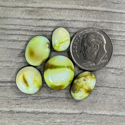 Palomino Minis