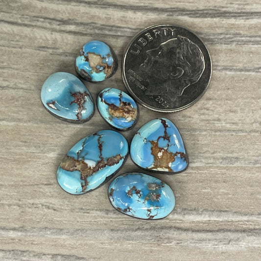 Golden Hill Minis