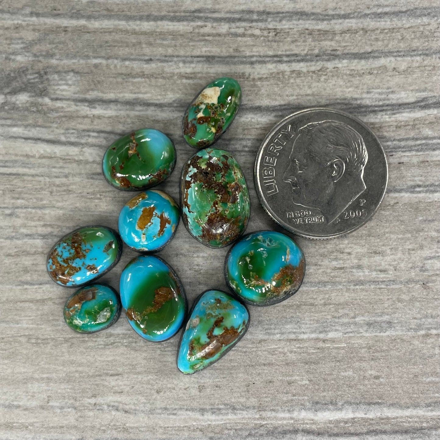 Sonoran Mountain Minis